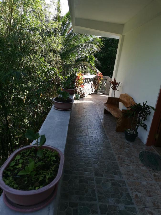 Anvel Homestay バスコ エクステリア 写真